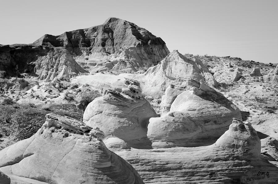 Paria Utah VIII Photograph by David Gordon