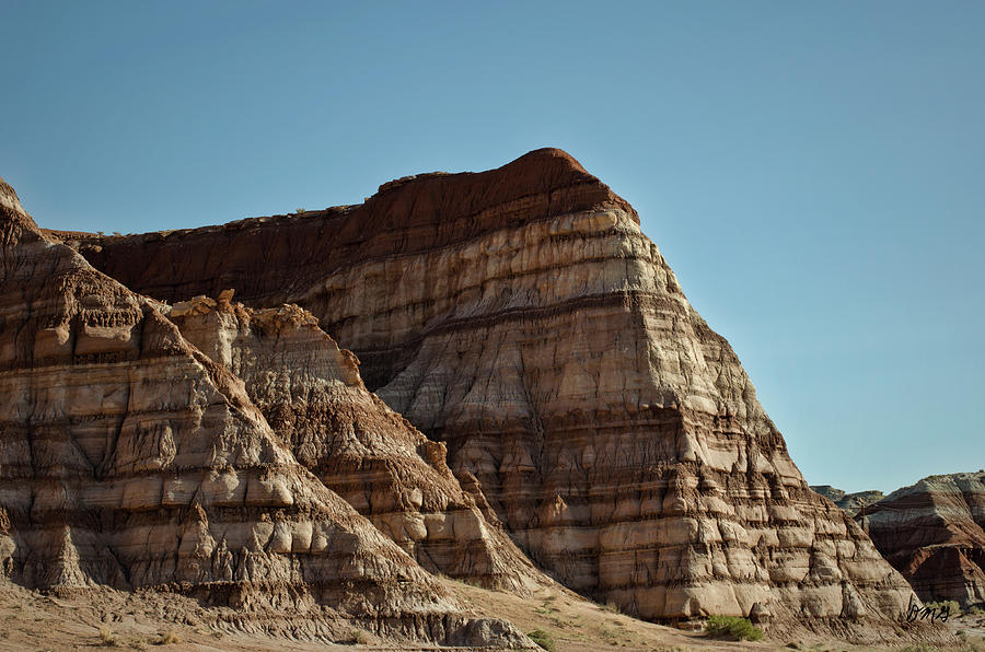 Paria Utah XII Photograph by David Gordon