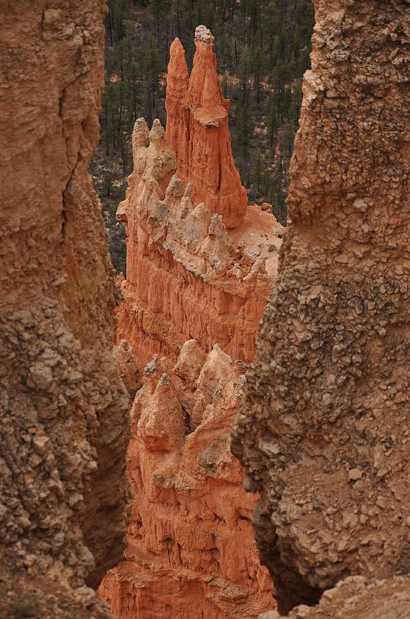 Paria View - Bryce Canyon Photograph by Frank Madia