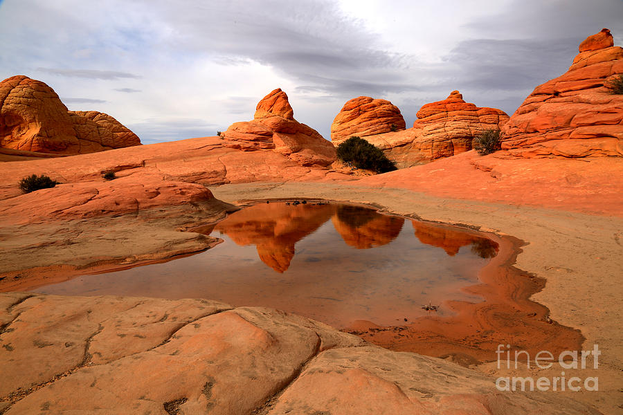 Paria Wilderness Reflections Photograph by Adam Jewell