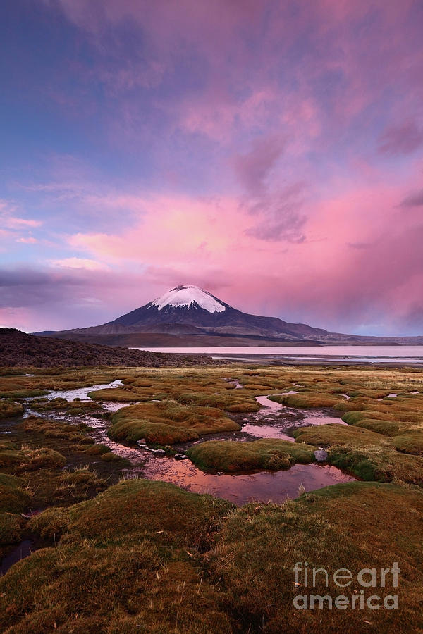 Parinacota Volcano and Lago Chungara at Twilight Photograph by James Brunker