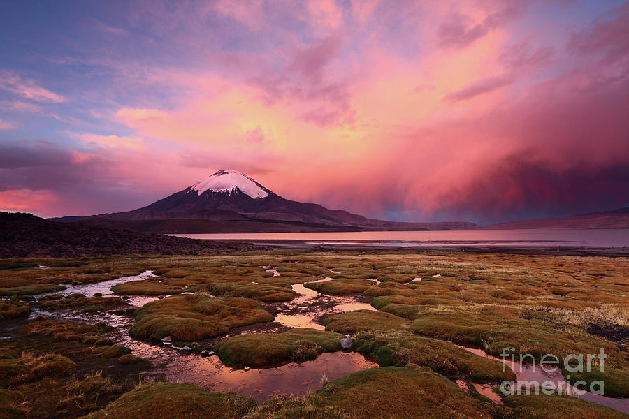 Parinacota Volcano and Lake Chungara at Sunset Photograph by James Brunker