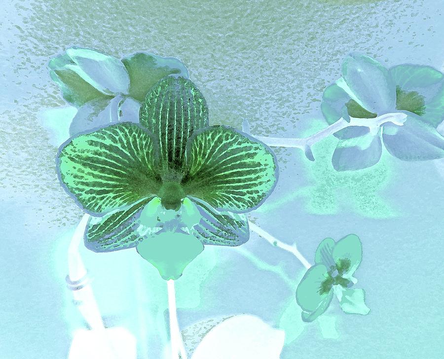 Paris Blue Orchid Digital Art by Ann Johndro-Collins