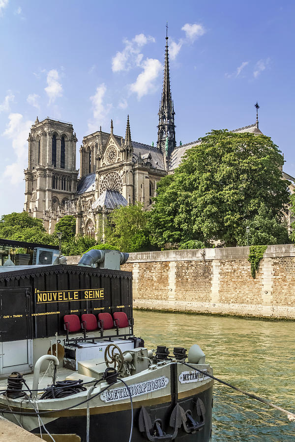 Paris Photograph - PARIS Cathedral Notre-Dame  by Melanie Viola