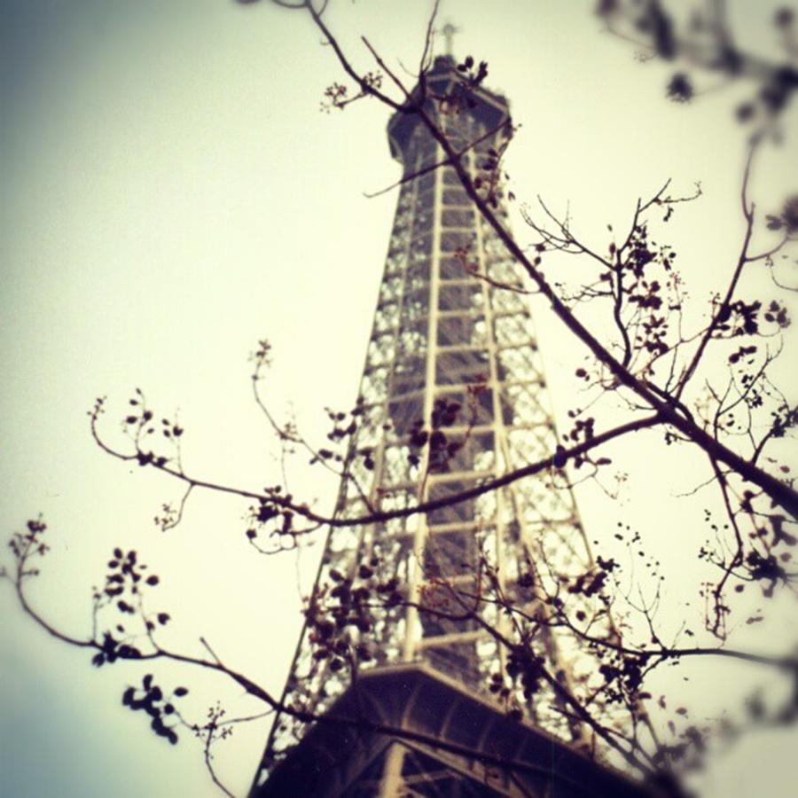 Paris Photograph - #paris #france #eiffeltower #tree by Cat H