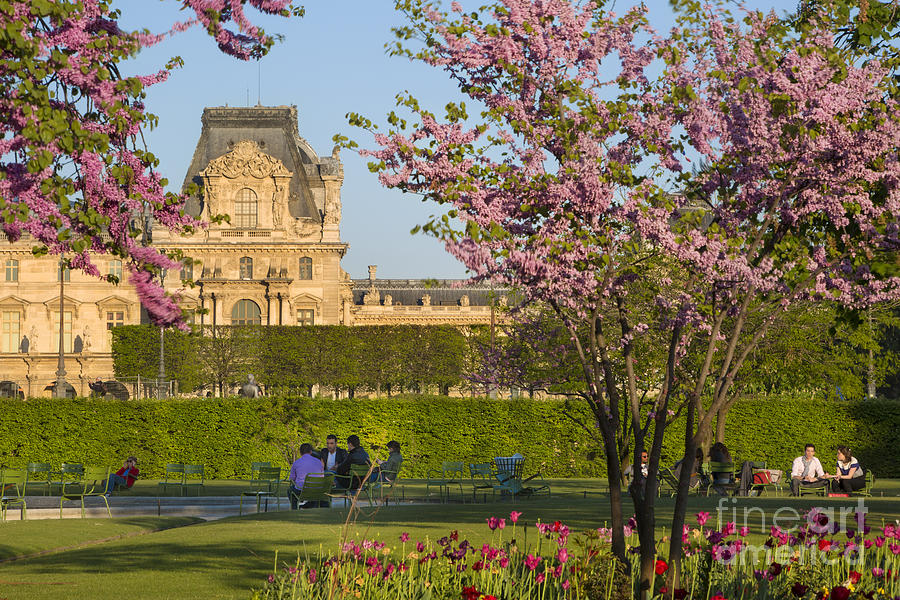 Paris Garden in Spring Photograph by Brian Jannsen