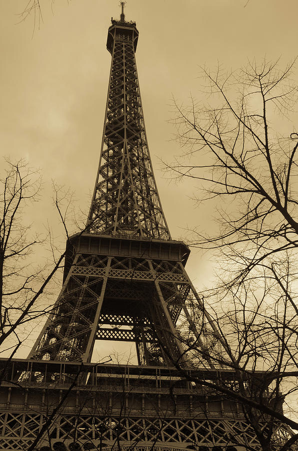 Paris in April Photograph by Miguel Winterpacht
