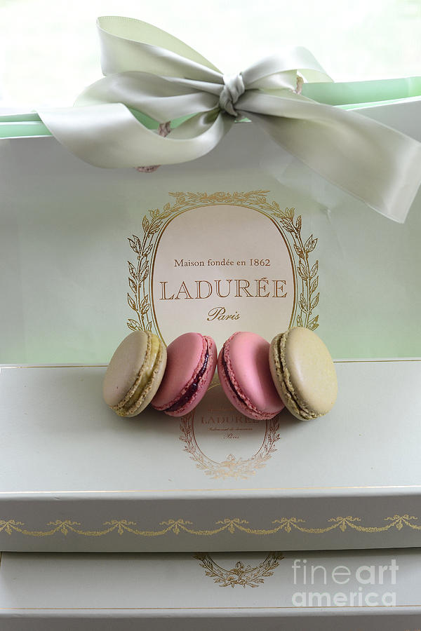 Paris Laduree Mint Box of Macarons - Paris French Laduree Macarons  Photograph by Kathy Fornal