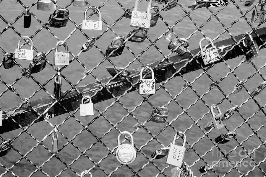 Paris Locks Photograph by Carol Groenen