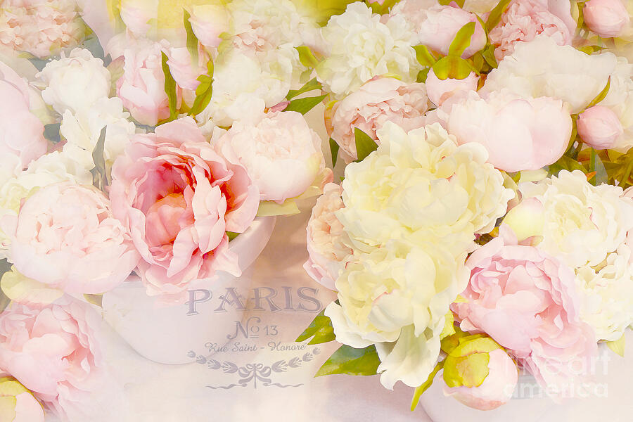 Paris Peonies Pink Yellow Peonies Floral Art - Dreamy Shabby Chic Paris Pink Yellow Peony Flowers Photograph by Kathy Fornal