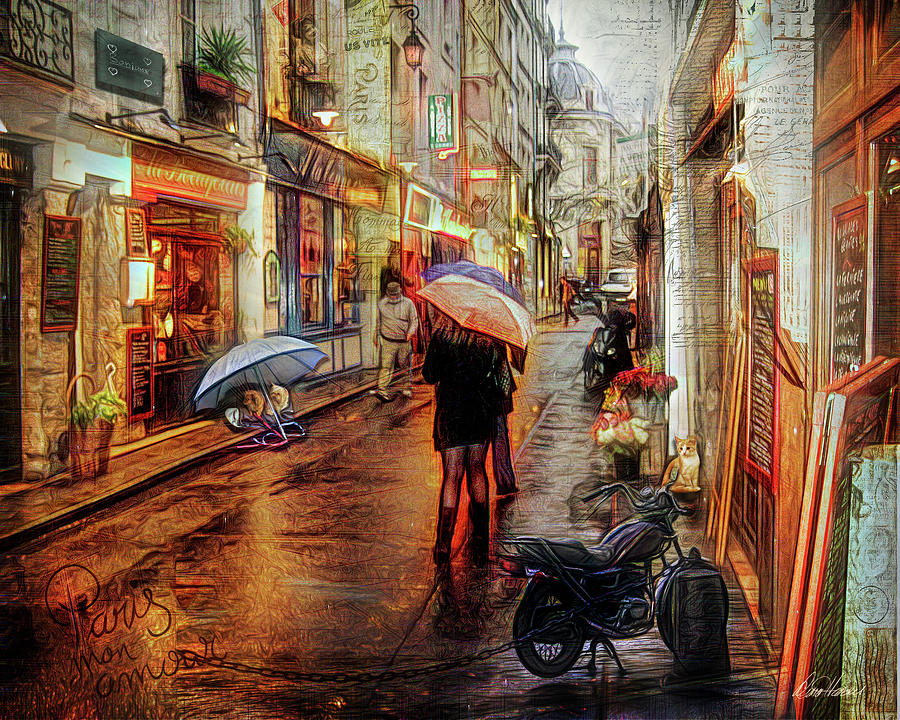 Paris Rain Photograph by Diana Haronis