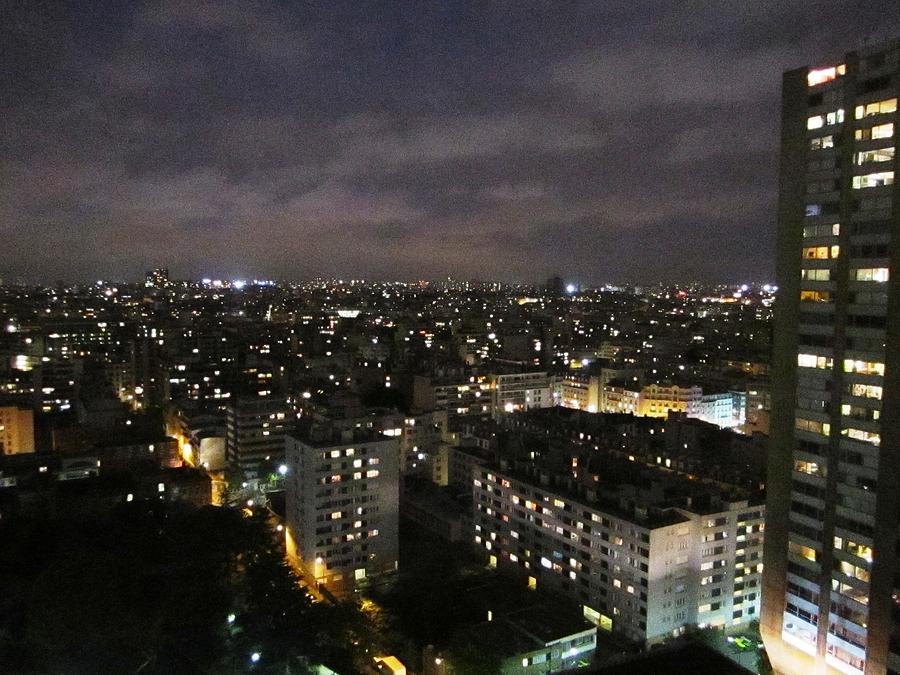 Paris Skyline at Night III France Photograph by John Shiron