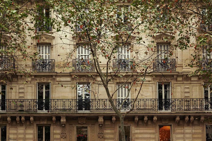 Parisian Building Facades - 5 Photograph by Hany J