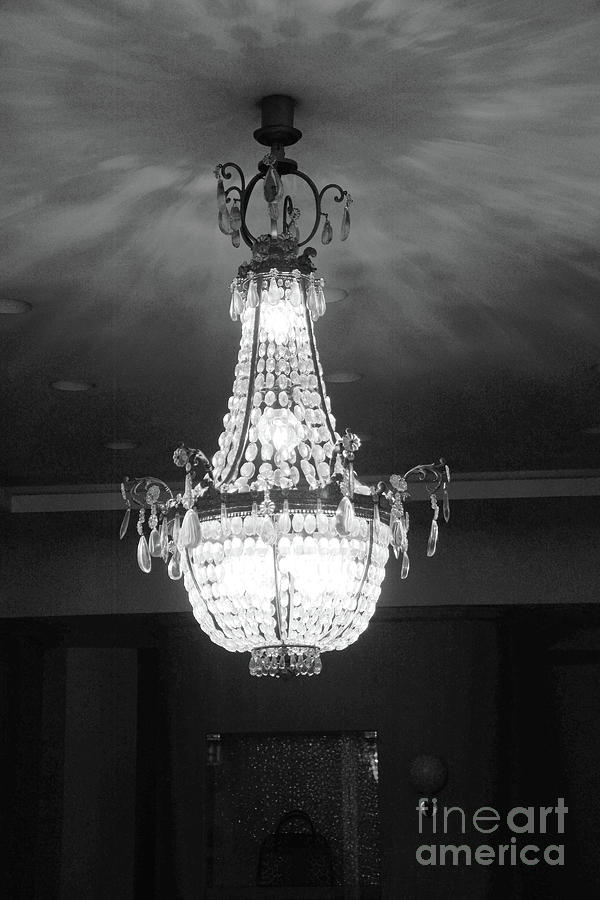 Parisian French Chandelier - Opulent Black and White French Chandelier  Photograph by Kathy Fornal