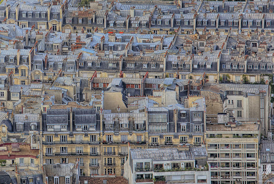 Parisian Roofs Photograph by Helena Adelmann