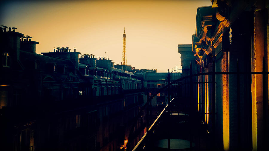 Parisian Skyline Photograph