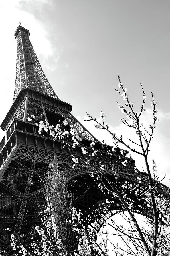 Parisian Springtime with Flowers Blooming Beneath the Eiffel Tower in Paris France Black and White Photograph by Shawn OBrien