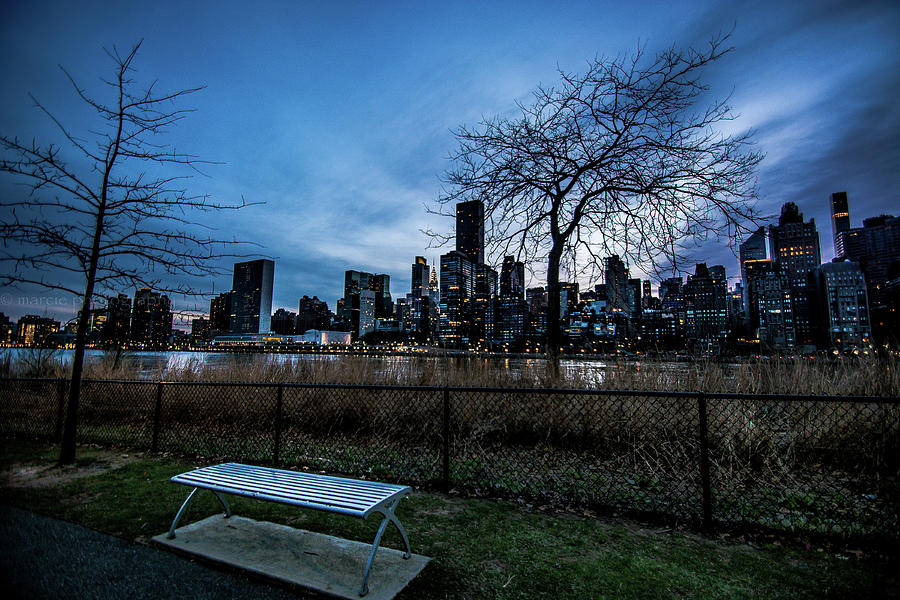 Park At The Roosevelt Island Photograph