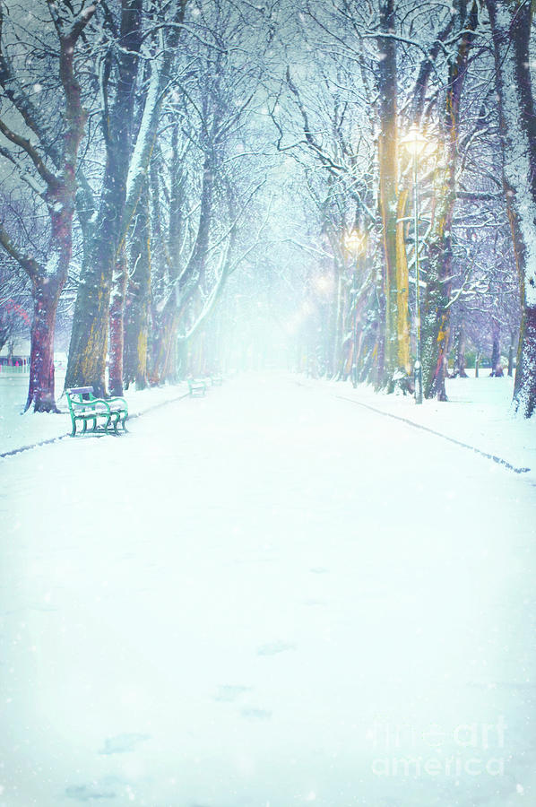 Park Avenue In Winter With Snow Photograph by Lee Avison