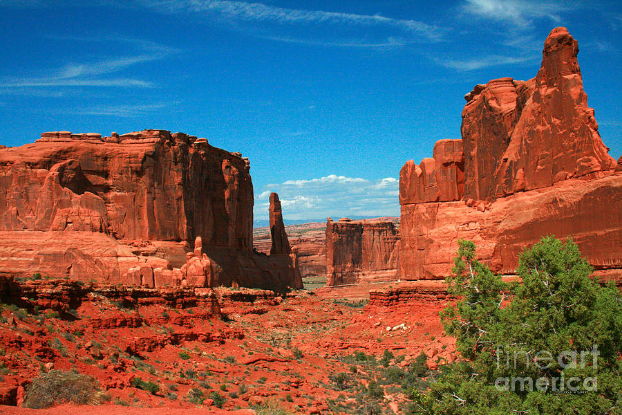 Park Avenue Section Arches National Park Moab Utah Painting by Corey Ford