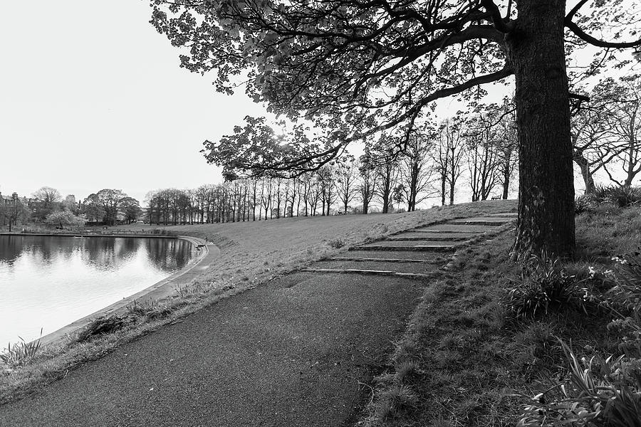 Park beauty in black and white Photograph by Iordanis Pallikaras