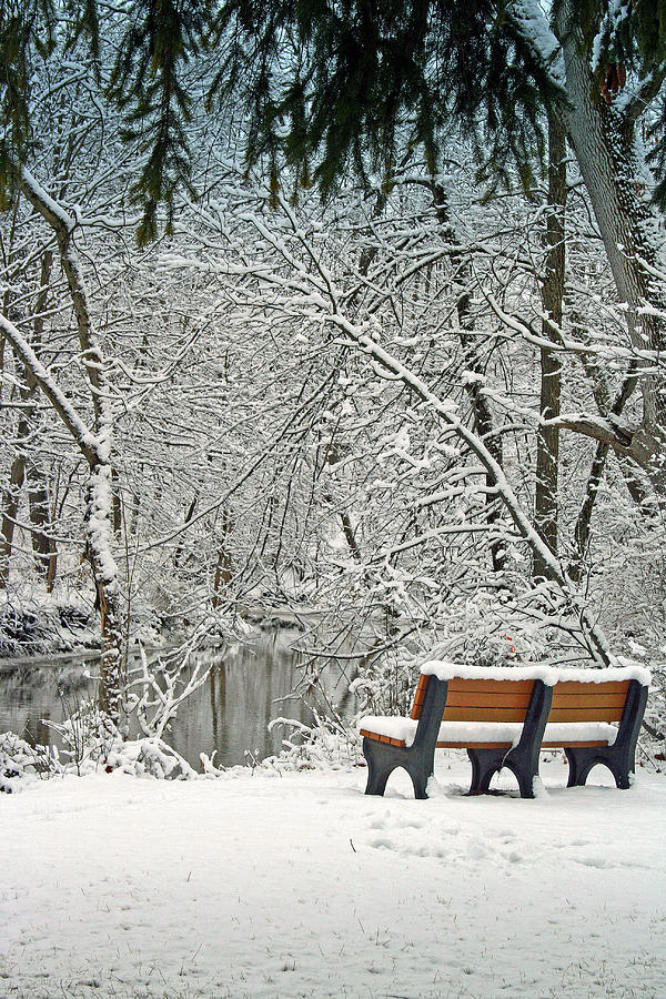 Park Bench Along The Pike River Photograph by Kay Novy
