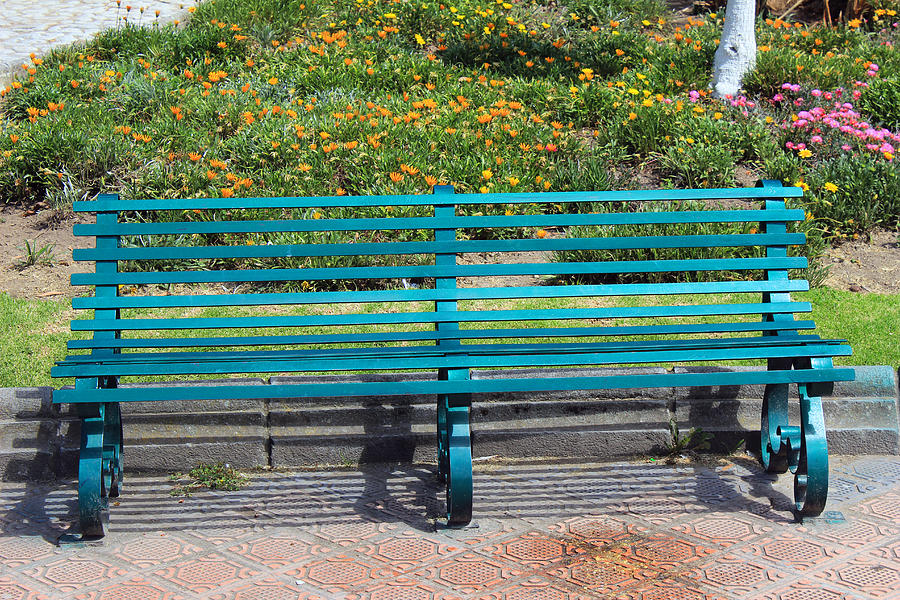Park Bench And Flower Bed Photograph By Robert Hamm