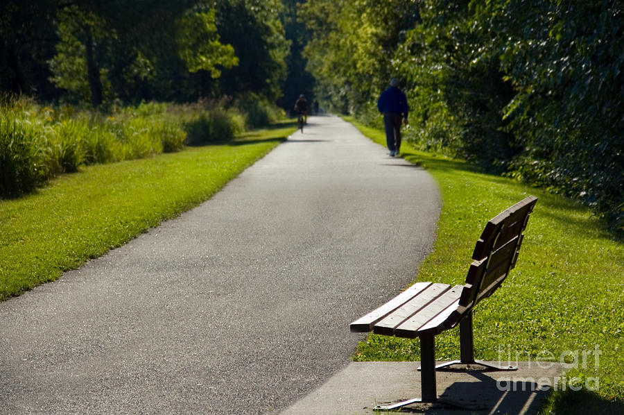 Nature Photograph - Park Bench and Person on Walking Trail Photo by Paul Velgos