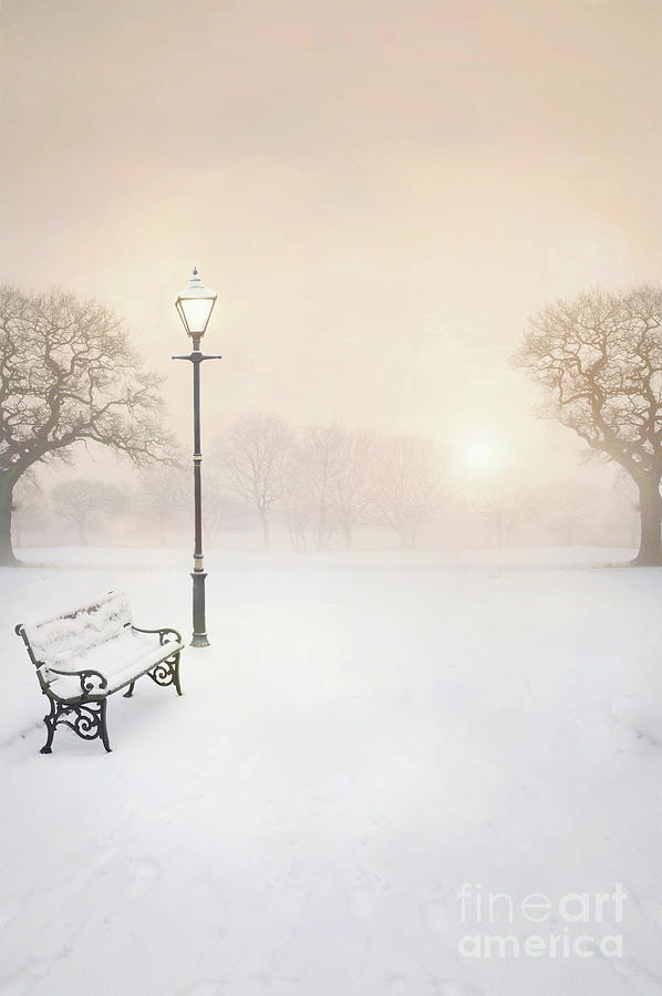 Park Bench And Streetlight In Snow At Dusk Photograph by Lee Avison