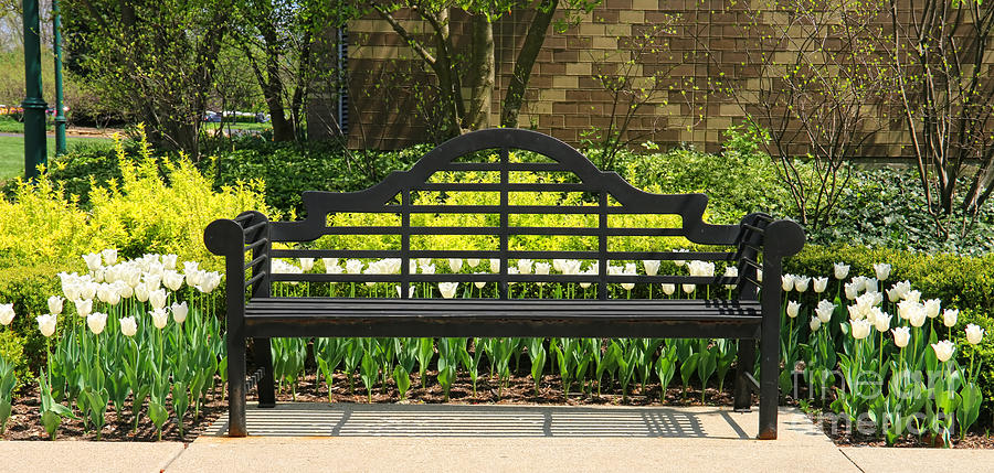 Park Bench and Tulips  4374 Photograph by Jack Schultz