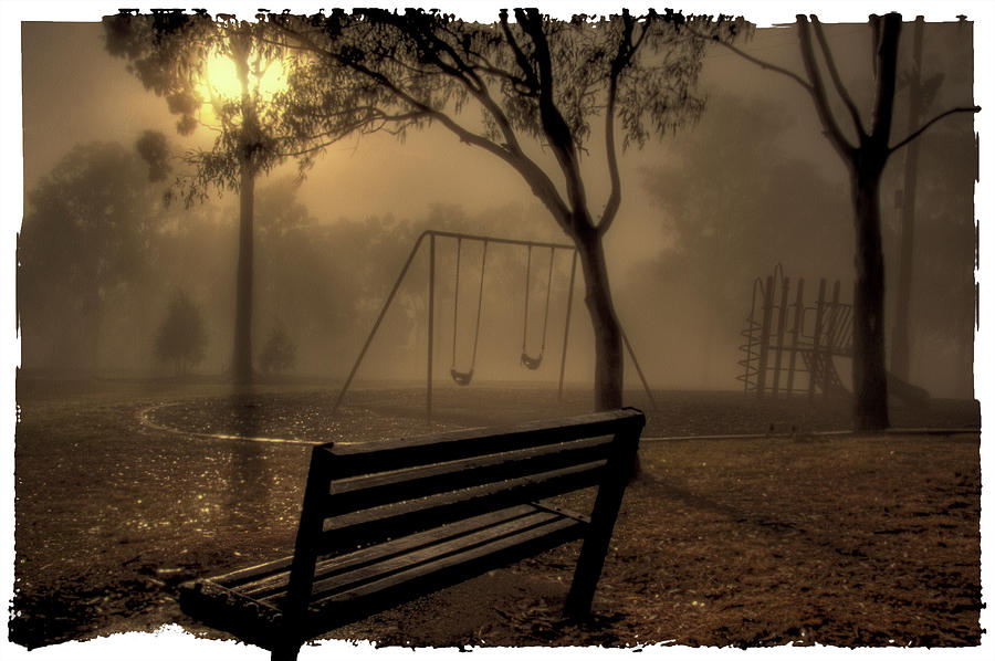 Park Bench at Dawn. Photograph by Michael Lees
