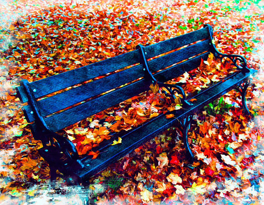 Park Bench Photograph by Bill Howard