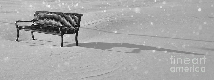 Park Bench in Virgin Snow Photograph by Lilliana Mendez