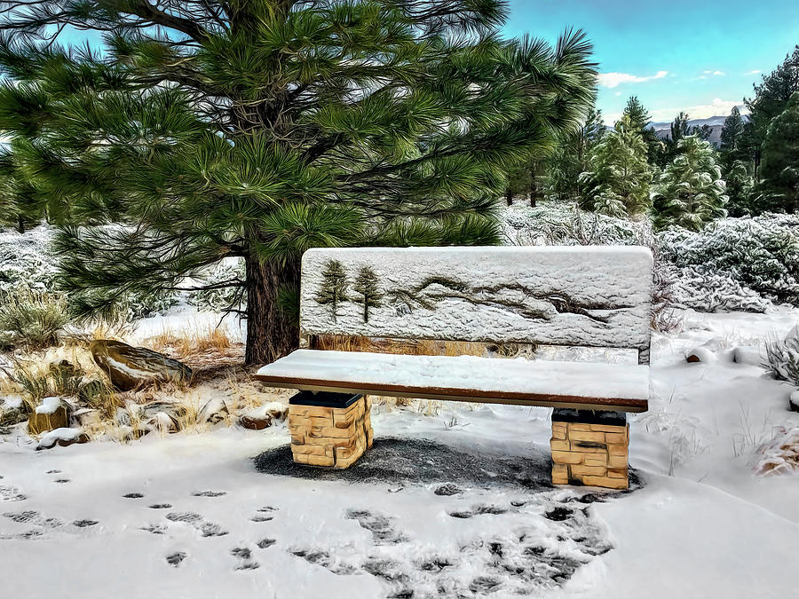 Park Bench Photograph by Maria Coulson