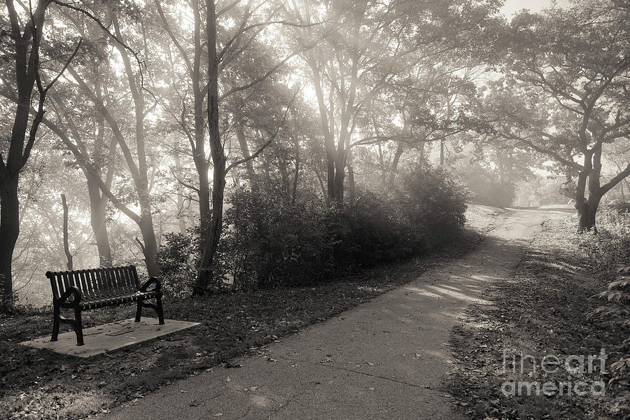 Park Bench Path with Foggy Sunbeams Winona Minnesota Photograph by Kari Yearous