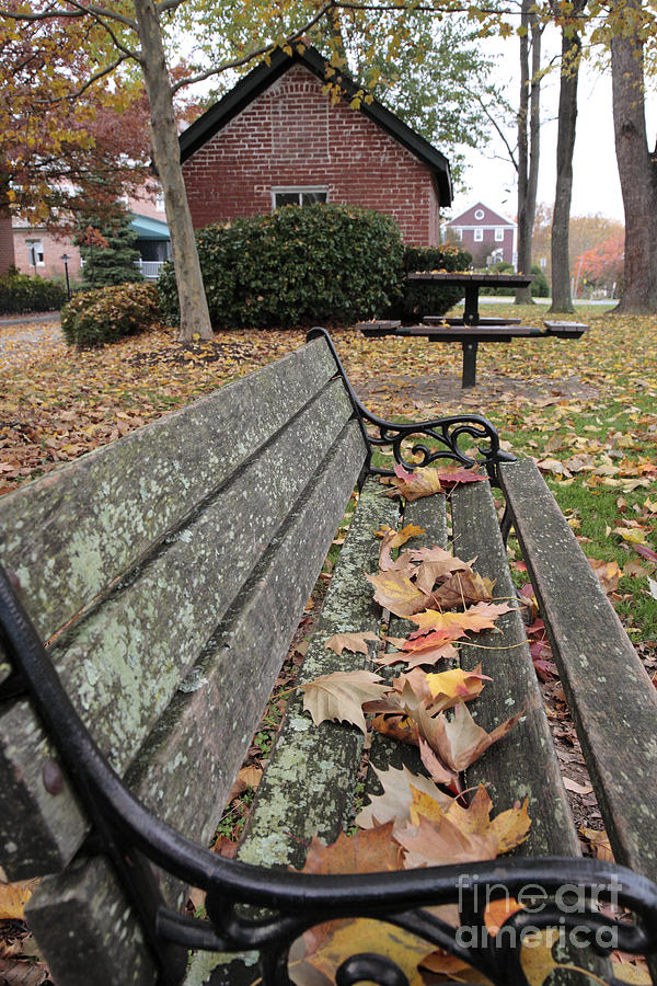 Park Bench with Maple Leaves in Autumn Photograph by William Kuta