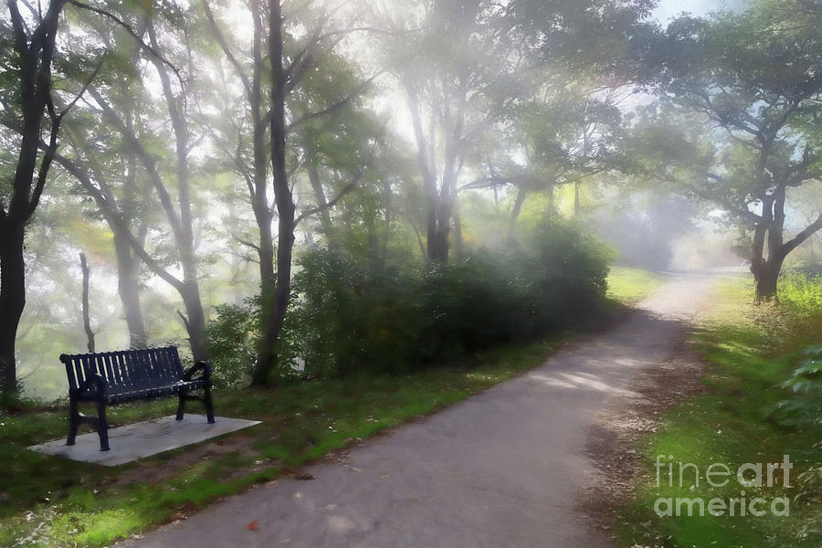 Park Bench With Path Digital Art Digital Art by Kari Yearous