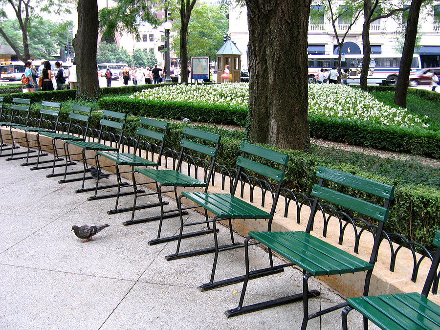 Park Benches Photograph by Laura Kinker