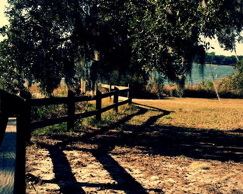 Park Fence Photograph by Kara Davis