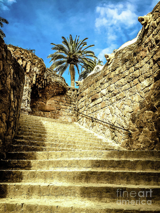 Park Guell Stairway Photograph by Colleen Kammerer