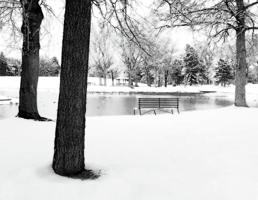 Park in Winter Photograph by Douglas Pulsipher