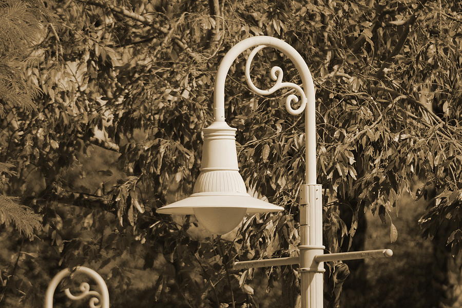 Lamp Photograph - Park Lamp Post In Sepia by Colleen Cornelius