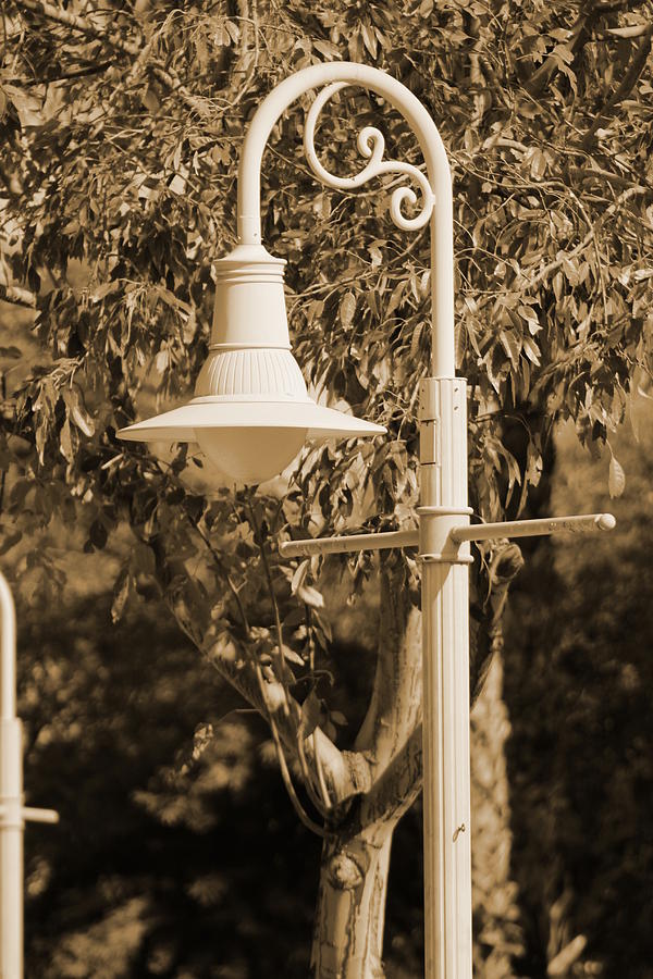 Park Lamp Post In Sepia Portrait Photograph by Colleen Cornelius
