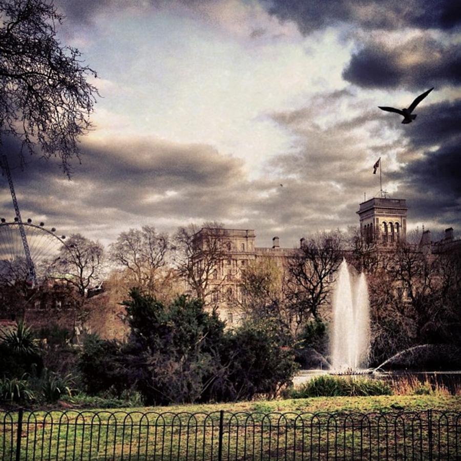 Nature Photograph - #park #london #stjamespark #fountain by Louise McAulay