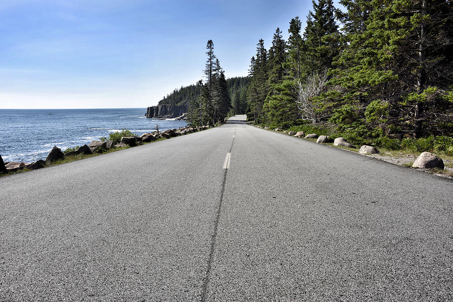 Park Loop Road - Acadia National Park - Maine Photograph by Brendan Reals