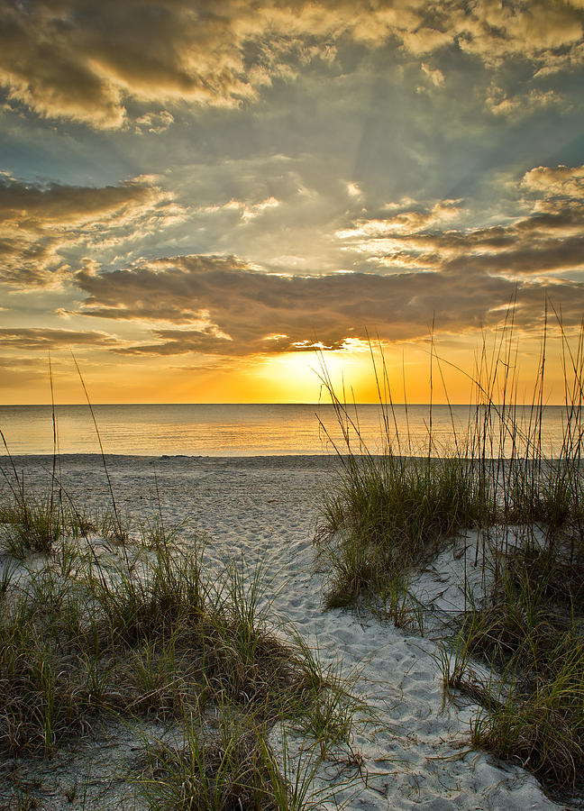 Park Shore Sunset Photograph by Bill Martin