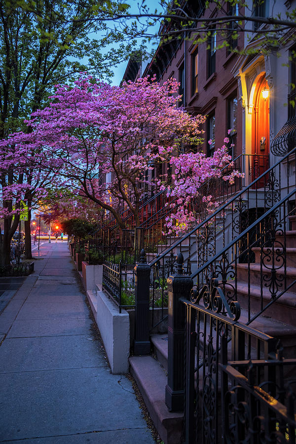 Spring Photograph - Park Slope by Christian Heeb