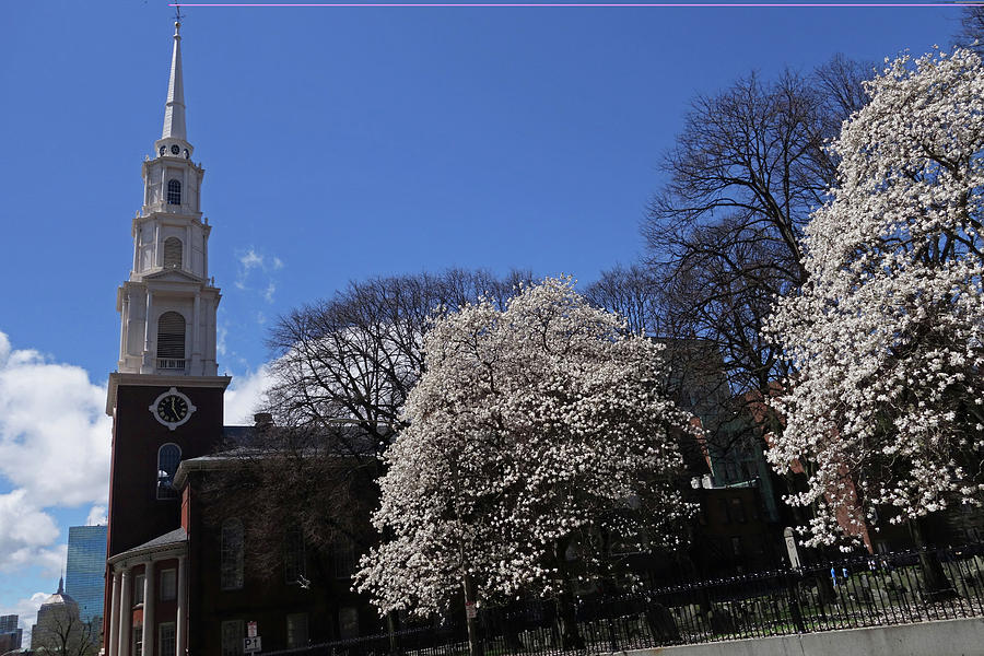 Park Street Church Spring Trees Boston MA Tremont St Photograph by Toby McGuire