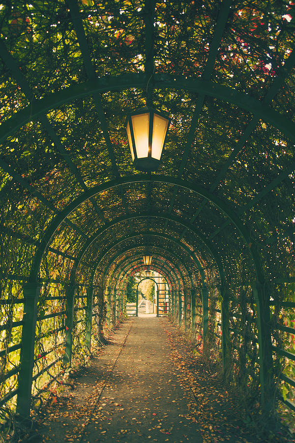 Nature Photograph - Park tunnel by Sandra Rugina