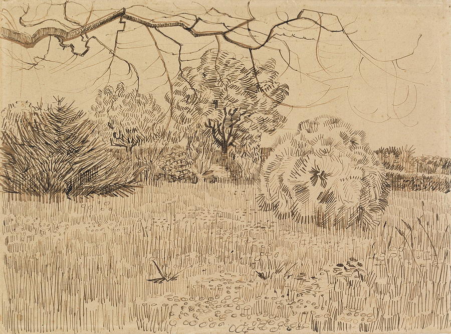 Park with Shrub, 1888 Painting by Vincent Van Gogh - Pixels